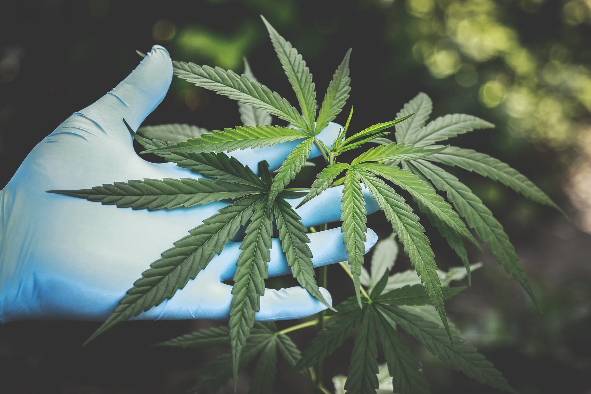 Top Uses for CBD & Hemp Based Medications